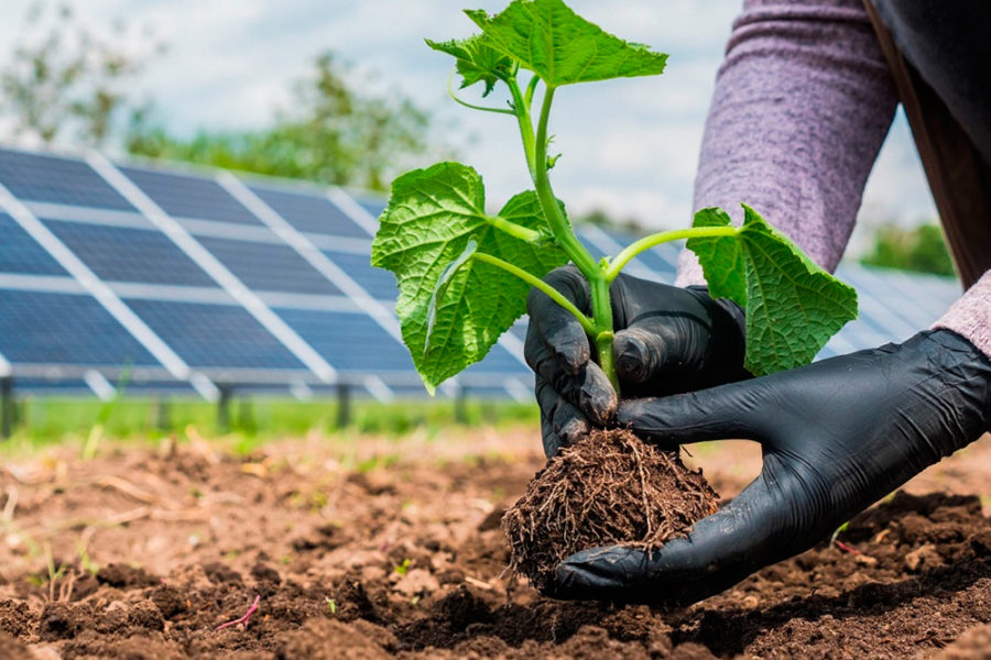 Für Klima- & Umweltschutz Für Klima- & Umweltschutz