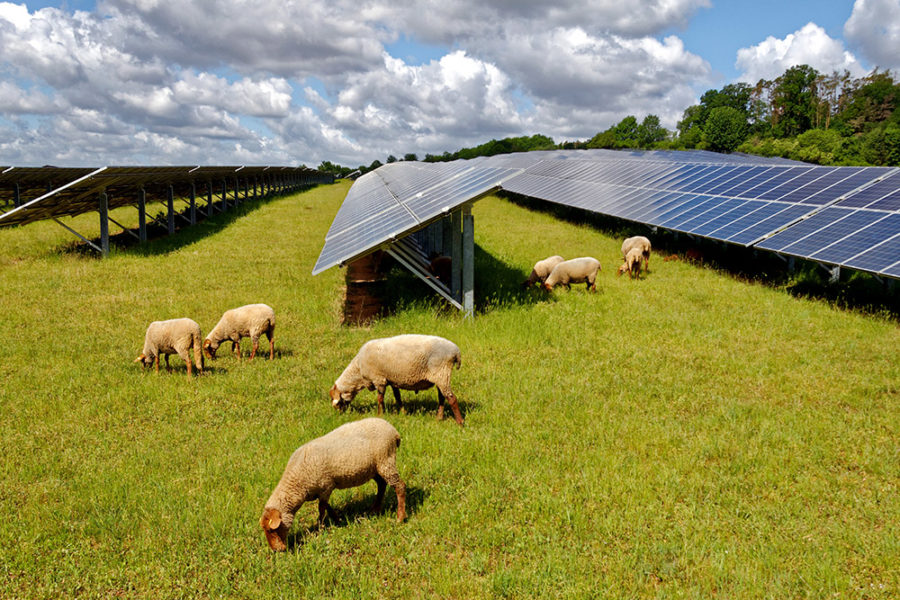 Stand-der-Planung Stand-der-Planung