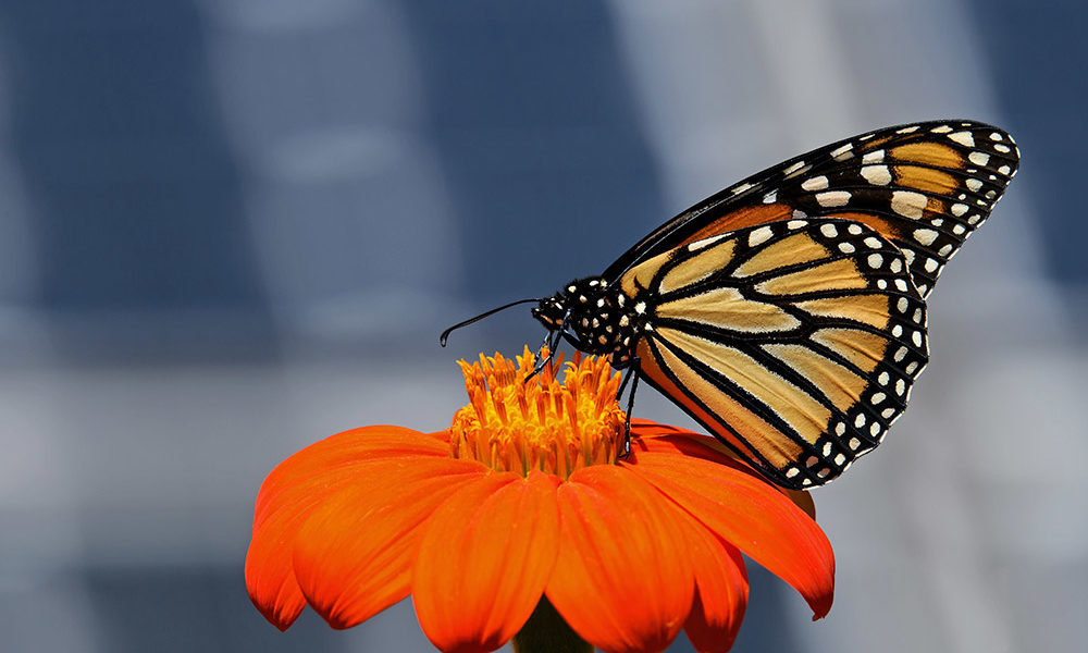 Für Klima- & Umweltschutz Für Klima- & Umweltschutz